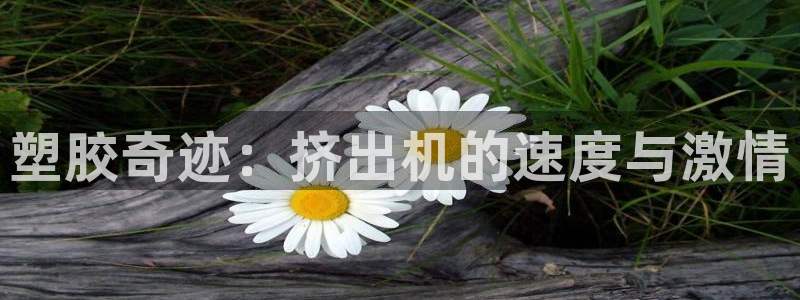 红足体育网：塑胶奇迹：挤出机的速度与激情