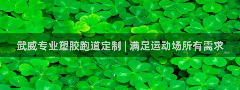 红足 世足球手机网：武威专业塑胶跑道定制 | 满足运动场所有需求