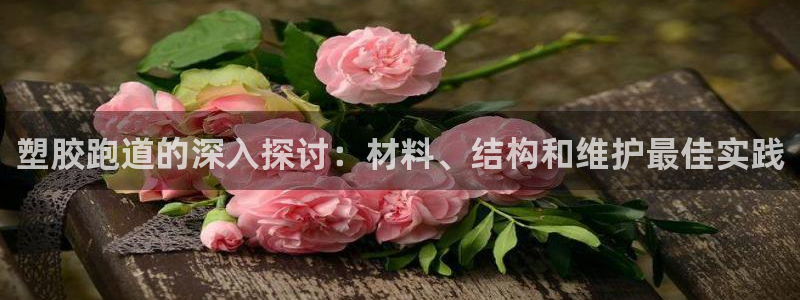 777814红·足一世比分：塑胶跑道的深入探讨：材料、结构和维护最佳实践