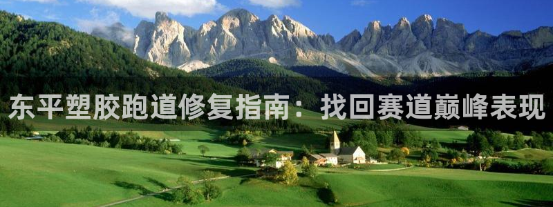 百度红足一1是为什么：东平塑胶跑道修复指南：找回赛道巅峰表现