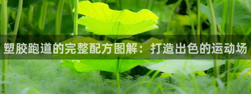 红足一1世官网：塑胶跑道的完整配方图解：打造出色的运动场