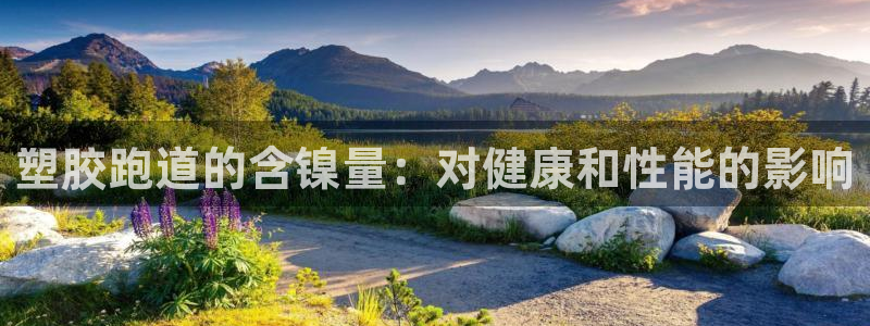 777814红·足一世比分篮球：塑胶跑道的含镍量：对健康和性能的影响