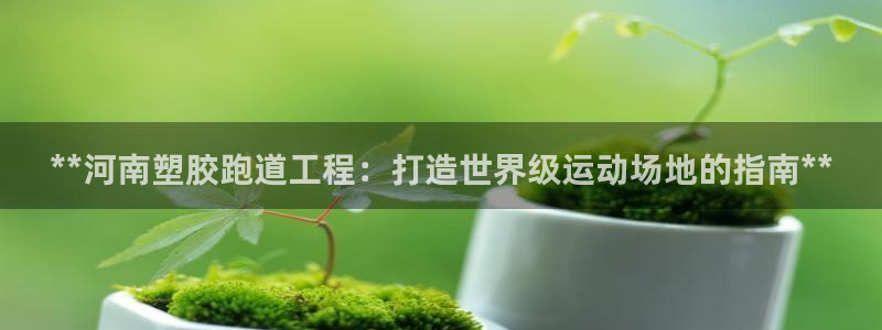 红足1世手机下载：**河南塑胶跑道工程：打造世界级运动场地的指南**