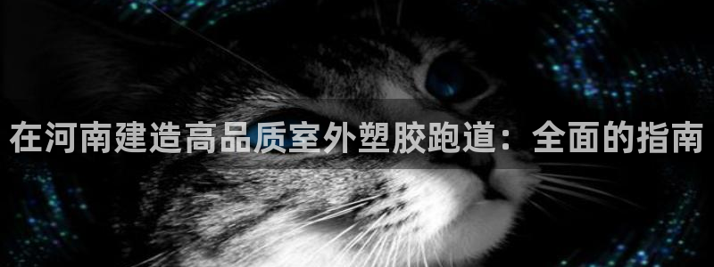 红足1世官网：在河南建造高品质室外塑胶跑道：全面的指南