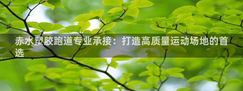 百度红足一1是为什么：赤水塑胶跑道专业承接：打造高质量运动场地的首
选