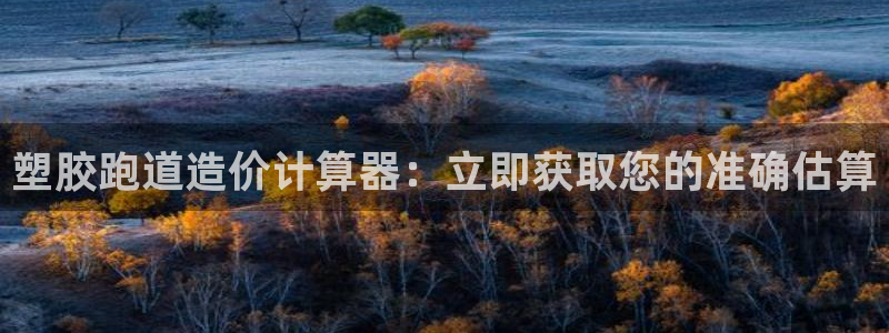 333814红·足一世比分：塑胶跑道造价计算器：立即获取您的准确估算