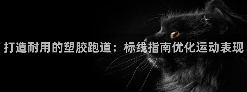 红足1一世足球手机：打造耐用的塑胶跑道：标线指南优化运动表现