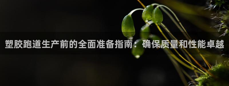 777814红·足一世比分：塑胶跑道生产前的全面准备指南：确保质量和性能卓越