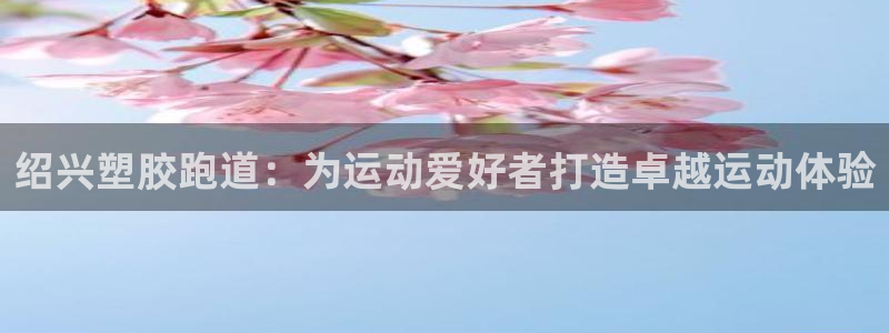 红足1一世：绍兴塑胶跑道：为运动爱好者打造卓越运动体验