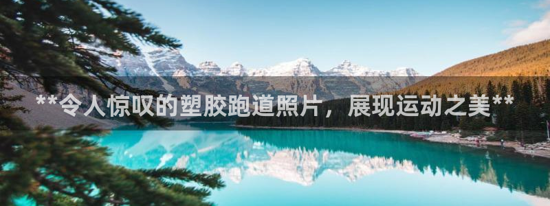 红足1世手机版下载：**令人惊叹的塑胶跑道照片，展现运动之美**
