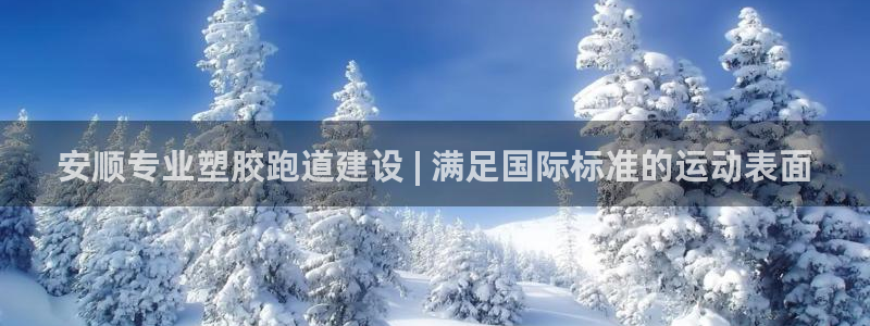红足一1世官网：安顺专业塑胶跑道建设 | 满足国际标准的运动表面