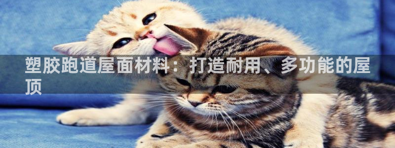 红足一1世比分：塑胶跑道屋面材料：打造耐用、多功能的屋
顶