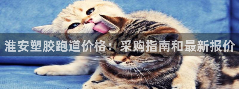 红足一1世皇冠登录：淮安塑胶跑道价格：采购指南和最新报价