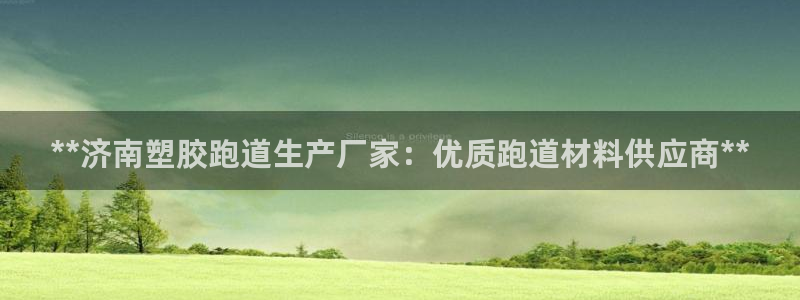 红足一球：**济南塑胶跑道生产厂家：优质跑道材料供应商**