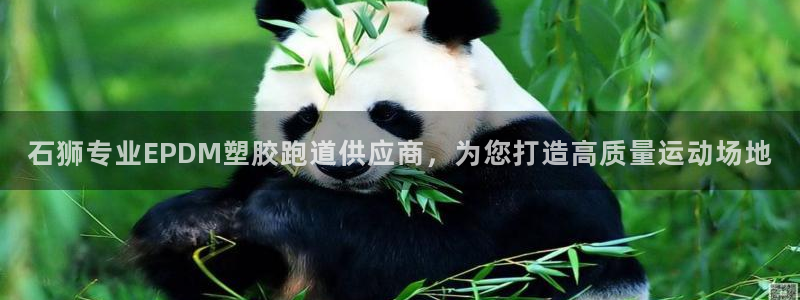 红足1世手机版下载：石狮专业EPDM塑胶跑道供应商，为您打造高质量运动场地