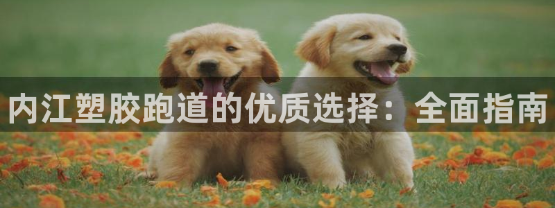 777814红·足一世比分篮球：内江塑胶跑道的优质选择：全面指南