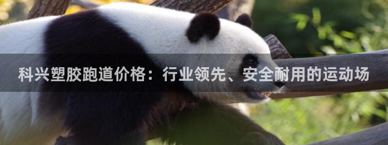 红足一1世官网足球推荐真人