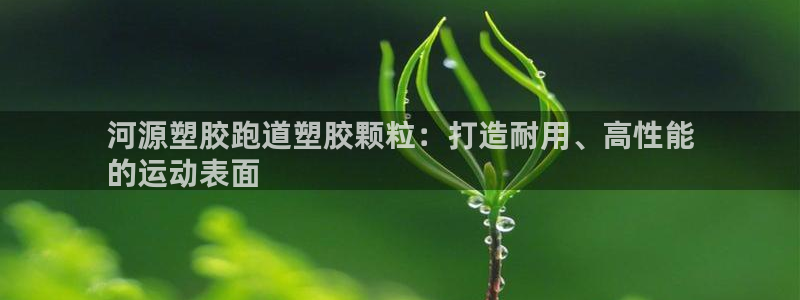 红世一足球比分：河源塑胶跑道塑胶颗粒：打造耐用、高性能
的运动表面