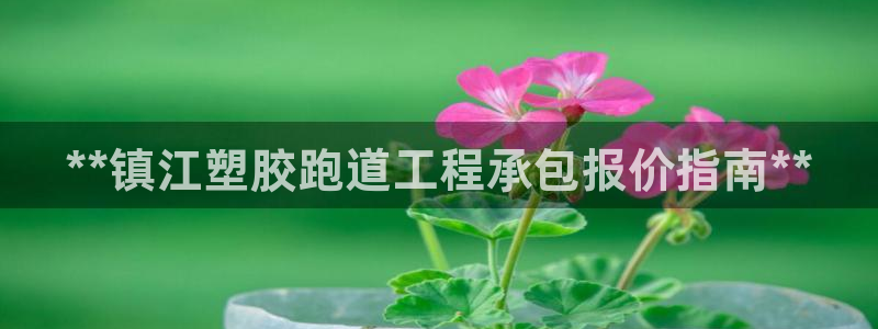 红足网足球直播：**镇江塑胶跑道工程承包报价指南**