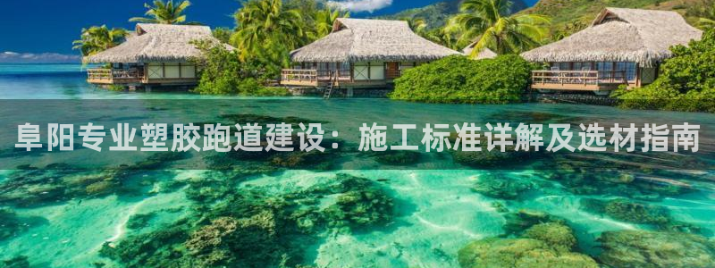 红足足球网：阜阳专业塑胶跑道建设：施工标准详解及选材指南