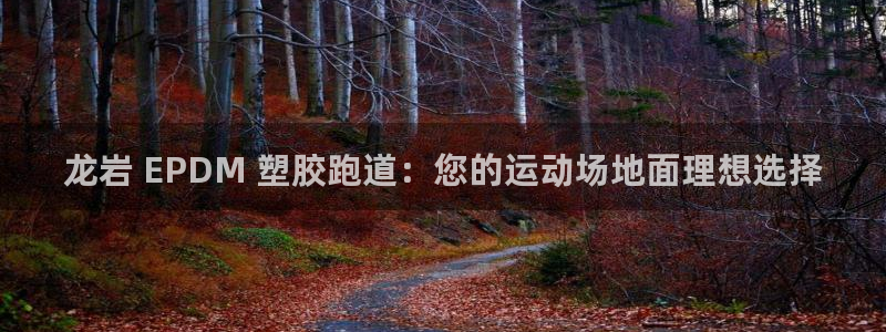 红足1世足球比分 localhost：龙岩 EPDM 塑胶跑道：您的运动场地面理想选择