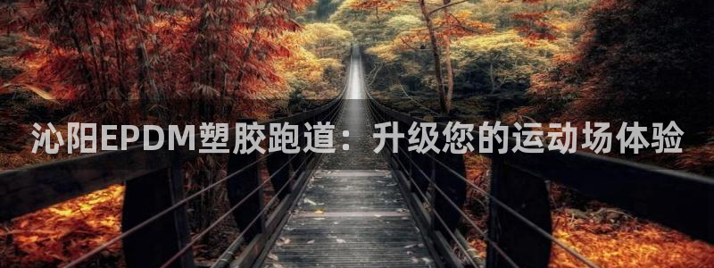 333814红足1世：沁阳EPDM塑胶跑道：升级您的运动场体验
