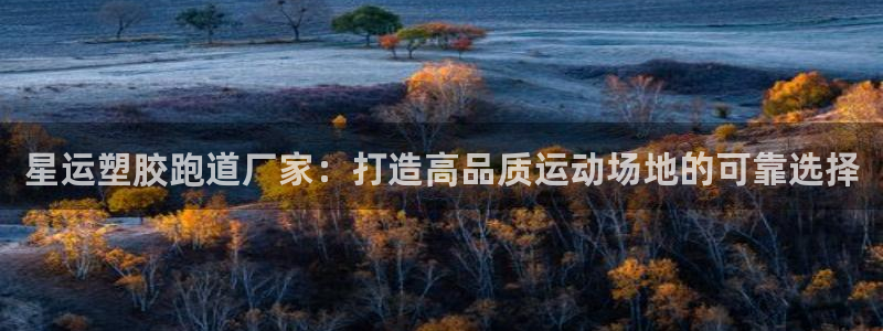 红世一足球比分：星运塑胶跑道厂家：打造高品质运动场地的可靠选择