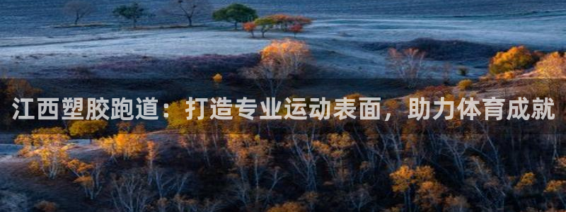 红足网足球直播：江西塑胶跑道：打造专业运动表面，助力体育成就