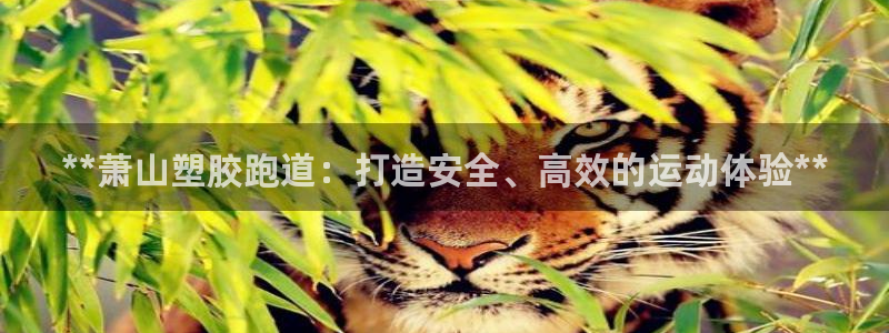 红世一足球比分
