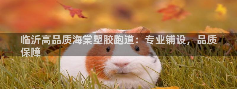 红足一丰：临沂高品质海棠塑胶跑道：专业铺设，品质
保障