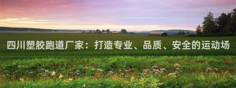 红足 世足球手机网：四川塑胶跑道厂家：打造专业、品质、安全的运动场