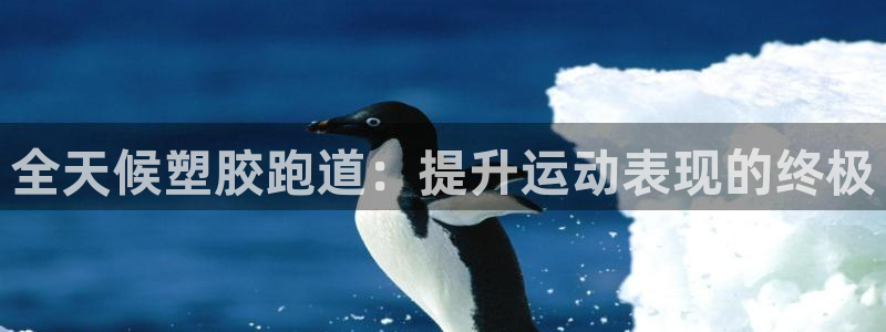 百度红足一1是为什么：全天候塑胶跑道：提升运动表现的终极