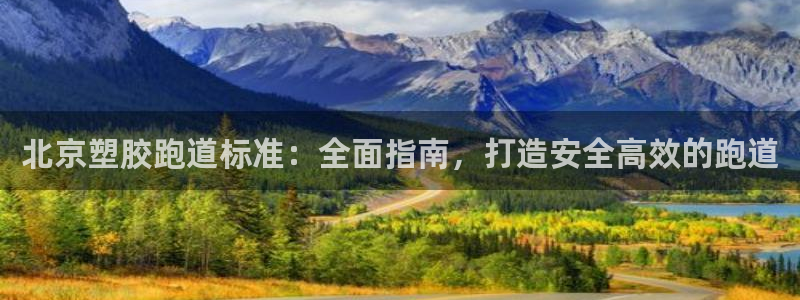 红足一球：北京塑胶跑道标准：全面指南，打造安全高效的跑道