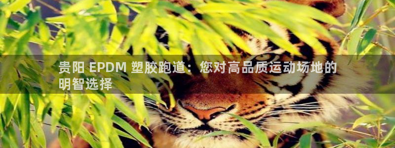 红足一1世皇冠