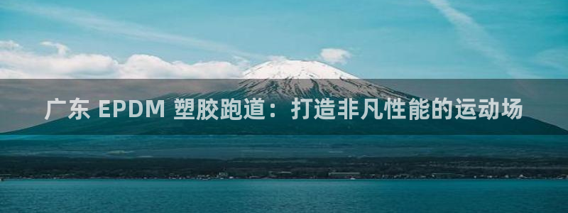 777814红·足一世：广东 EPDM 塑胶跑道：打造非凡性能的运动场