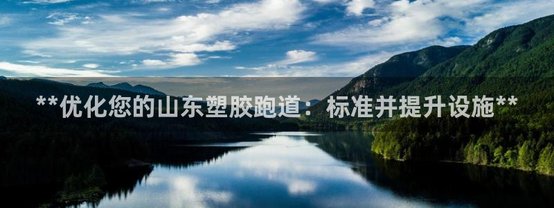 百度红足一1世：**优化您的山东塑胶跑道：标准并提升设施**