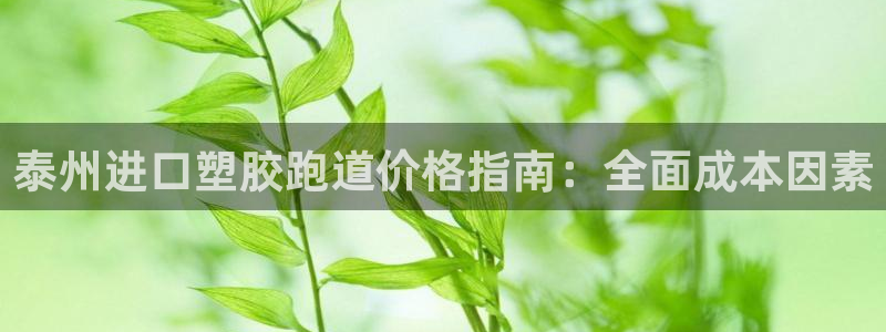 红足一1世比分球探：泰州进口塑胶跑道价格指南：全面成本因素