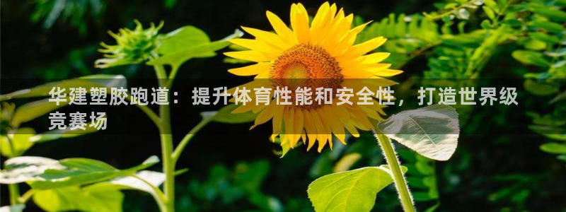 红足1世开奖预测：华建塑胶跑道：提升体育性能和安全性，打造世界级
竞赛场