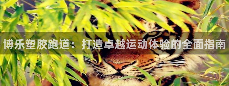 红足一1世手机开奖：博乐塑胶跑道：打造卓越运动体验的全面指南