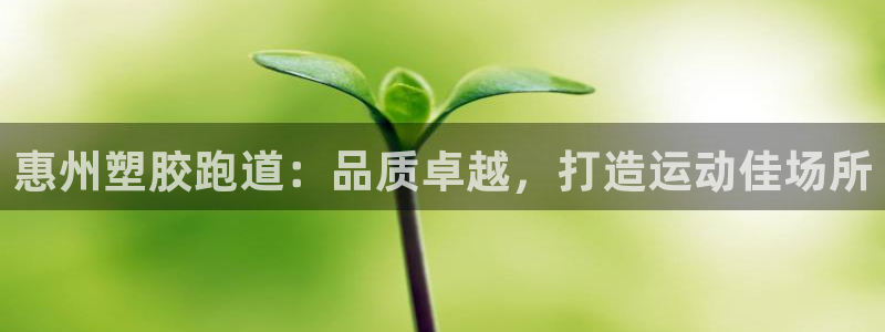 红足一1世官网