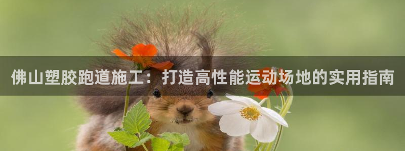 红姐现场直播开奖记录