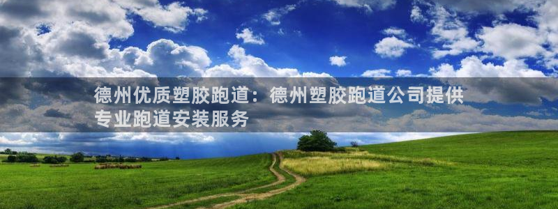 77814红足1世：德州优质塑胶跑道：德州塑胶跑道公司提供
专业跑道安装服务