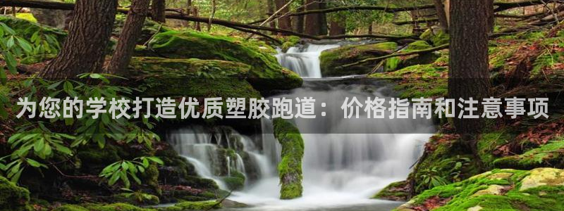新2足球平台出租网站：为您的学校打造优质塑胶跑道：价格指南和注意事项