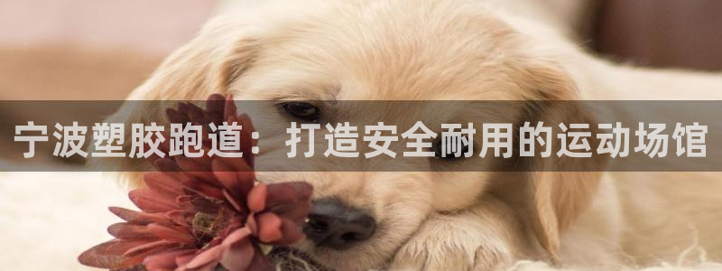 777814红·足一世比分