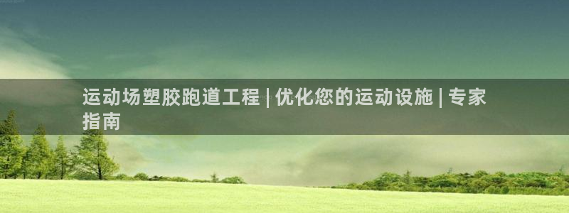 44814红足：运动场塑胶跑道工程 | 优化您的运动设施 | 专家
指南