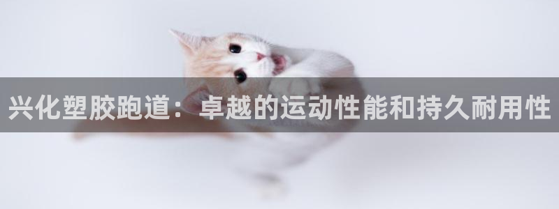 红世一足球比分：兴化塑胶跑道：卓越的运动性能和持久耐用性