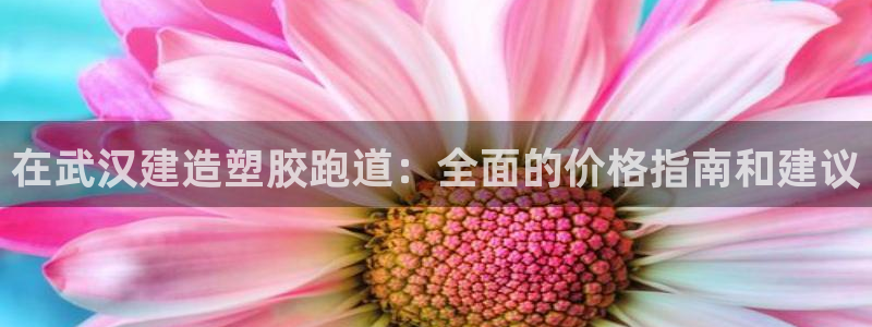 77814红足1世：在武汉建造塑胶跑道：全面的价格指南和建议