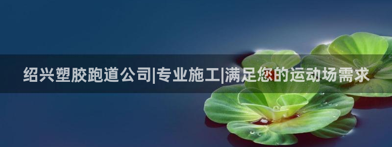 红足一1世手机开奖：绍兴塑胶跑道公司|专业施工|满足您的运动场需求