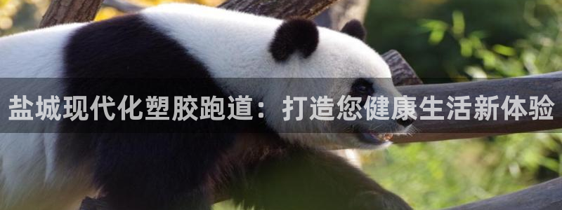 红足1世足球比分网址：盐城现代化塑胶跑道：打造您健康生活新体验