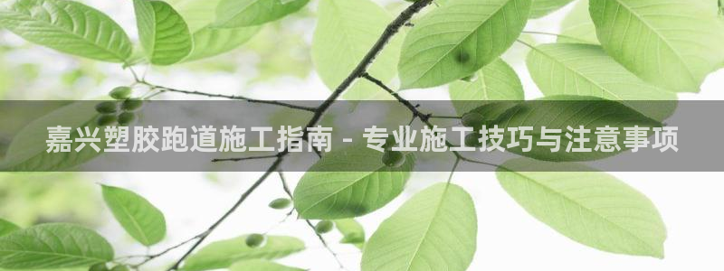 红足一生世：嘉兴塑胶跑道施工指南 - 专业施工技巧与注意事项